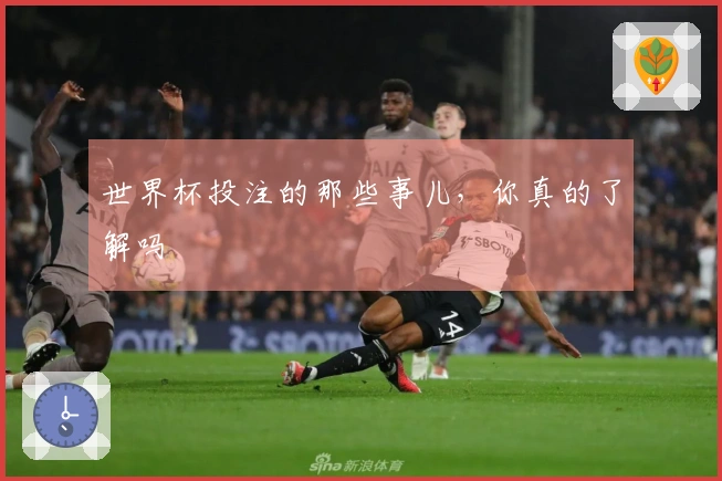世界杯投注的那些事儿，你真的了解吗