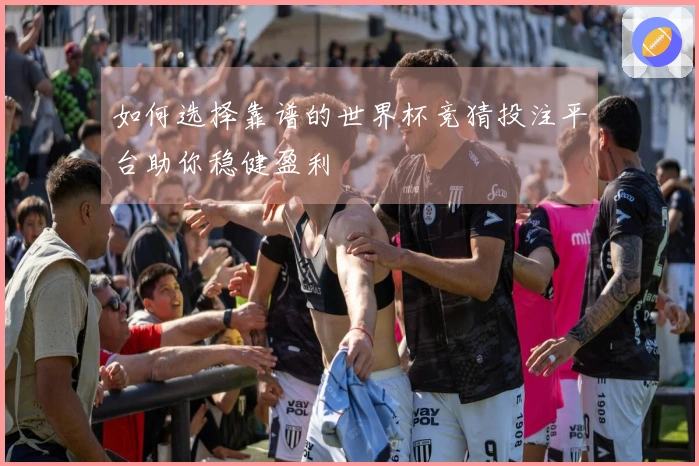 如何选择靠谱的世界杯竞猜投注平台助你稳健盈利