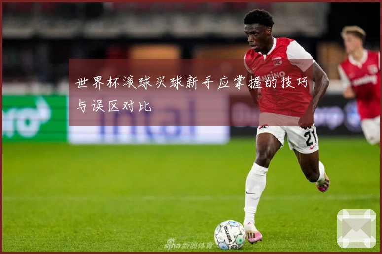世界杯滚球买球新手应掌握的技巧与误区对比