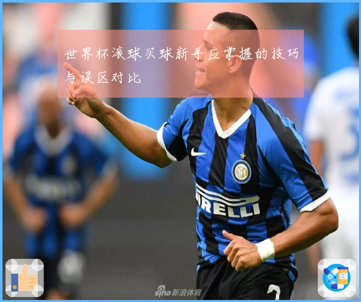 世界杯滚球买球新手应掌握的技巧与误区对比