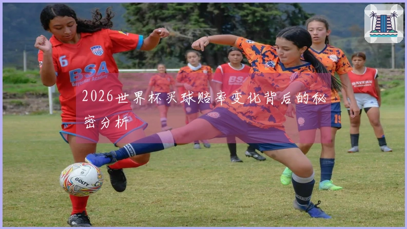 2026世界杯买球赔率变化背后的秘密分析
