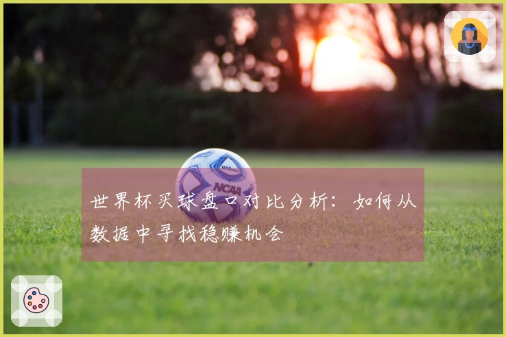 世界杯买球盘口对比分析：如何从数据中寻找稳赚机会