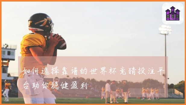 如何选择靠谱的世界杯竞猜投注平台助你稳健盈利